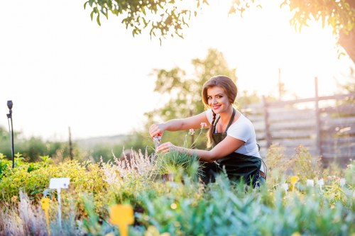 Cookie policy introduction for Landscapers Walthamstow