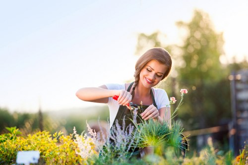 A woman with light brown hair and a bright smile is tending to a garden bed in an outdoor space, using a small hand tool. The garden features a variety of plants, including flowering shrubs and herbaceous perennials, with some lavender and small flowering plants visible in the foreground. Behind her, there is a neatly maintained lawn area with lush green grass, bordered by a hedge or low shrubbery, and tall trees creating a natural backdrop. The environment appears to be a sunny day with soft, warm lighting, indicative of late afternoon or early evening, typical of Walthamstow. The scene captures a well-kept garden area that showcases landscaping and gardening activities, aligning with services provided by landscaperswalthamstow.co.uk, particularly focusing on outdoor maintenance and garden enhancement in the local area.