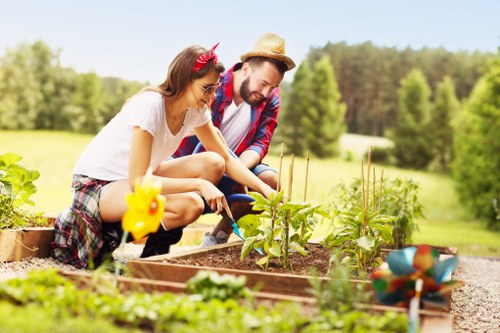Comprehensive garden removal services in Walthamstow