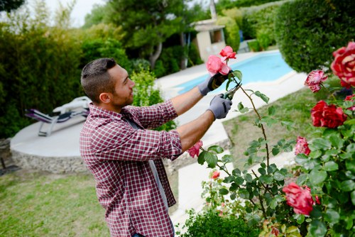 A man with short dark hair, wearing a red and black checkered shirt and grey gardening gloves, is trimming or pruning pink roses in a well-maintained backyard garden. The garden features a lush green lawn with neatly edged flower beds, including the rose bushes he is tending to. In the background, there is a swimming pool with light blue water, bordered by a paved patio area, and complementary landscaping elements such as trimmed hedges and a few small trees. The scene appears to be outdoors on a clear, bright day, with natural sunlight illuminating the vibrant colours of the flowers, foliage, and garden features. This setting exemplifies professional outdoor maintenance typical of gardening services in Walthamstow, connecting to sustainable landscaping practices and garden care for residential properties within the local area.