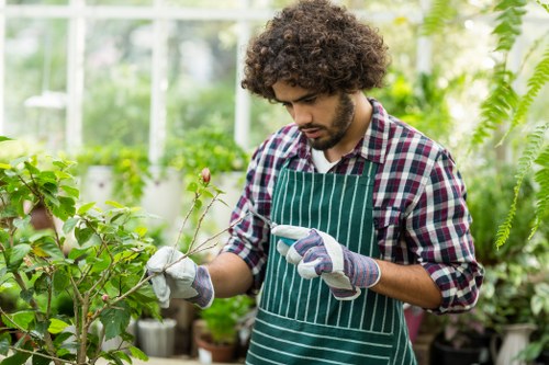 A young man with curly dark hair, wearing a green and white striped apron over a checked shirt and protective gloves, is tending to a garden within a greenhouse. He is carefully pruning or inspecting a small branch with pink buds or flowers, surrounded by lush green foliage, including dense shrubs and various potted plants. The greenhouse is filled with natural light filtering through the glass panels, creating a bright and vibrant environment ideal for gardening and plant care activities. The scene is indicative of professional gardening or horticultural work, typical of services offered by landscapers in Walthamstow, with a focus on maintaining healthy, thriving garden plants in a controlled, natural setting.
