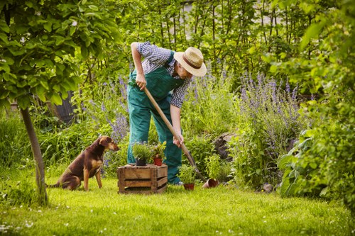 Various landscaping services offered by Walthamstow Landscapers