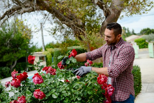 Complaint handling process for landscaping services