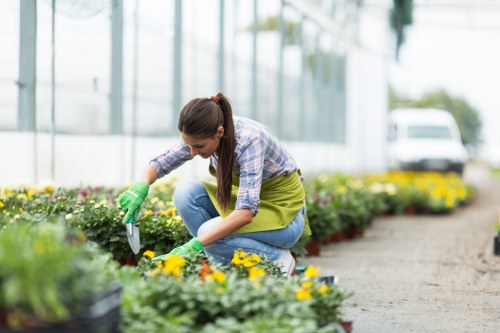 A young woman with long brown hair tied back, wearing a plaid shirt, green apron, and green gardening gloves, is kneeling on a paved pathway in a well-maintained outdoor garden. She is carefully planting or pruning vibrant yellow and purple flowers within a flower bed bordered by a gravel edge. The garden area features neatly arranged flower beds with rich, dark soil and lush greenery, including small shrubs and plants. In the background, there are taller plants and a blurred view of a greenhouse or glass structure, along with a parked vehicle and trees, indicating a suburban or community garden setting in Walthamstow. The scene is well-lit with natural daylight, suggesting a clear, sunny day, and reflects professional gardening and landscaping activities typical of local lawn and garden maintenance services.