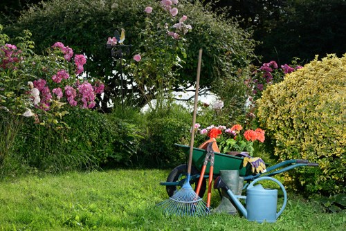 Step-by-step garden clearance process in Walthamstow