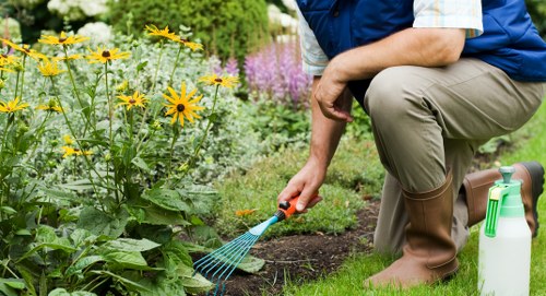 A gardener crouching on a neatly trimmed green lawn in a residential garden during daytime, wearing a navy blue vest, beige trousers, and brown rubber boots, tending to the flower bed with a small garden rake. The flower bed is bordered by a variety of vibrant flowering plants, including yellow and purple blooms, with a back hedge providing privacy. The garden features a combination of grass, cultivated flower borders, and pebbled pathways. A water spray bottle is visible beside the gardener, who appears to be engaged in routine outdoor gardening or lawn care work. The scene is outdoors with natural daylight, suggesting fair weather suitable for gardening services in Walthamstow, London, aligning with local landscaping and garden maintenance practices, as highlighted on the company's website, landscaperswalthamstow.co.uk.