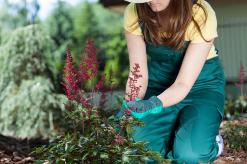 Gardener pruning shrubs in Walthamstow
