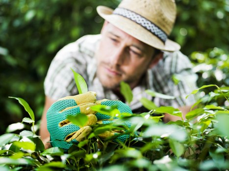 Professional landscaper working on a garden design in Walthamstow