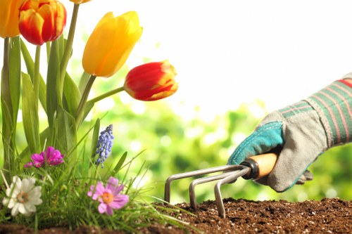 In the image, a gardener wearing a glove is using a hand cultivator to loosen dark, moist soil in a garden bed that features a variety of blooming flowers, including yellow and red tulips, pink and white daisies, and small purple flowers. The garden includes a well-maintained lawn area with vibrant green grass adjacent to the flower bed. The background shows a blurred, lush green garden environment, indicating a space that is well cared for, with healthy plants and an inviting outdoor setting typical of residential gardening in Walthamstow. The natural lighting suggests a sunny day, highlighting the textures of the soil, plant stems, and flowers, and supporting professional gardening work relevant to landscaping and lawn maintenance services offered by companies like Landscapers Walthamstow.