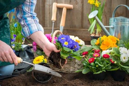 Local climate and soil conditions in Walthamstow impacting plant choices.