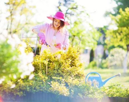 Sustainable gardening practices in a lush Walthamstow landscape