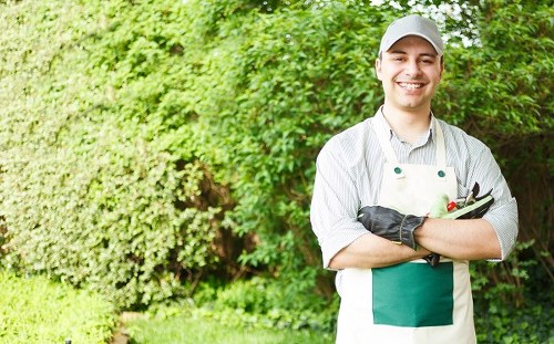 A smiling young man wearing a grey cap, grey apron, and gardening gloves stands outdoors in a lush garden. Behind him is a dense hedge with vibrant green foliage, and in the foreground, there is a well-maintained lawn with evenly cut grass. To his right, part of a flower bed border is visible, containing a variety of small plants. The garden area appears to be well-kept, with natural daylight illuminating the scene, suggesting a clear, sunny day. The setting reflects a typical landscaped outdoor space suitable for gardening and outdoor maintenance services offered by companies like Landscapers Walthamstow, with clean and tidy surfaces, and a variety of natural plant textures and colours that highlight the importance of quality garden care and landscaping in the Walthamstow area.