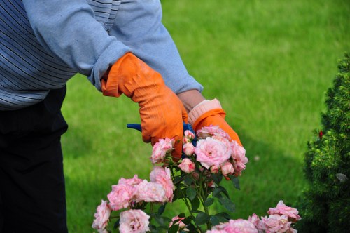 Lawn mowing equipment and tools used by professionals in Walthamstow