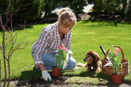 Eco-friendly tree removal practices in Walthamstow