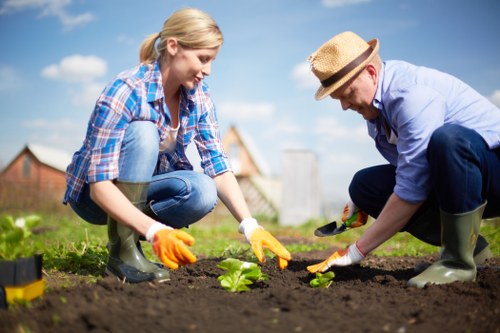 A woman and a man are working together in a garden, planting a young green vegetable or flower plant into freshly turned, dark soil. The woman, dressed in a blue plaid shirt, jeans, and rubber boots, is smiling and carefully placing the plant, while the man, wearing a light blue shirt, dark pants, rubber boots, and a straw hat, is assisting by holding the plant steady. The garden is part of a well-maintained outdoor space with a neatly edged lawn and a background featuring a blue sky with some clouds, a wooden fence, and nearby houses. The scene suggests outdoor gardening activities typical of a residential garden in Walthamstow, with natural daylight highlighting the fresh earth, greenery, and the gardening tools on the soil surface, supported by professional gardening services from Landscapers Walthamstow.