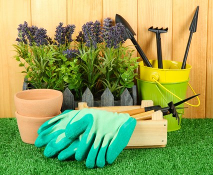 A neatly organized gardening area featuring three terracotta pots with no plants, placed on a green artificial turf surface. Behind the pots, there are several lavender plants with purple flowers and green foliage, arranged in a row. To the right, a yellow plastic bucket holds black-handled gardening tools, such as a trowel and a hand fork. In front of the bucket, a pair of light blue gardening gloves rests on a wooden tray or small table. The background consists of a wooden shed or panelled fence, indicating an outdoor garden space in Walthamstow, suitable for gardening and outdoor maintenance activities. The scene captures a well-maintained, practical outdoor gardening setup under natural daylight, with a focus on gardening tools, plant containers, and lush plant varieties associated with garden care services offered by Landscapers Walthamstow in the E17 postcode area.