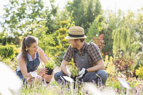 A man and a woman working together in a lush backyard garden, surrounded by various plants, including flowering shrubs, green grass, and trees in the background. The man, wearing a straw hat, checked shirt, and gardening gloves, is kneeling on the ground tending to a small potted plant, while the woman, in a denim apron over casual clothing, is smiling and holding another plant, suggesting they are engaged in gardening activities. The garden features a mix of flowering plants in bloom, neatly maintained lawn areas, and a variety of greenery creating a vibrant, outdoor space suitable for landscaping and garden care services in Walthamstow. The scene is bathed in natural sunlight, highlighting the healthy, well-kept garden environment, indicative of professional garden maintenance and landscaping efforts.